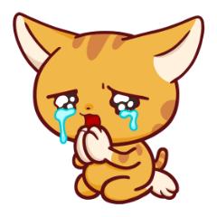 How Nyabi Feels